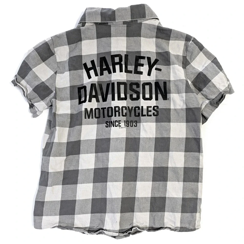 Harley-Davidson harley davidson